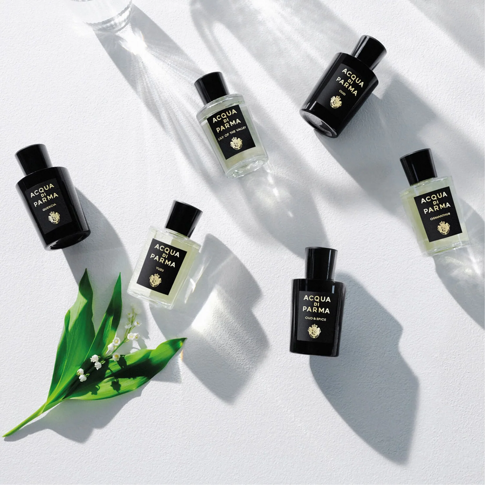 Acqua di Parma Osmanthus Eau de Parfum for Men - Image 3