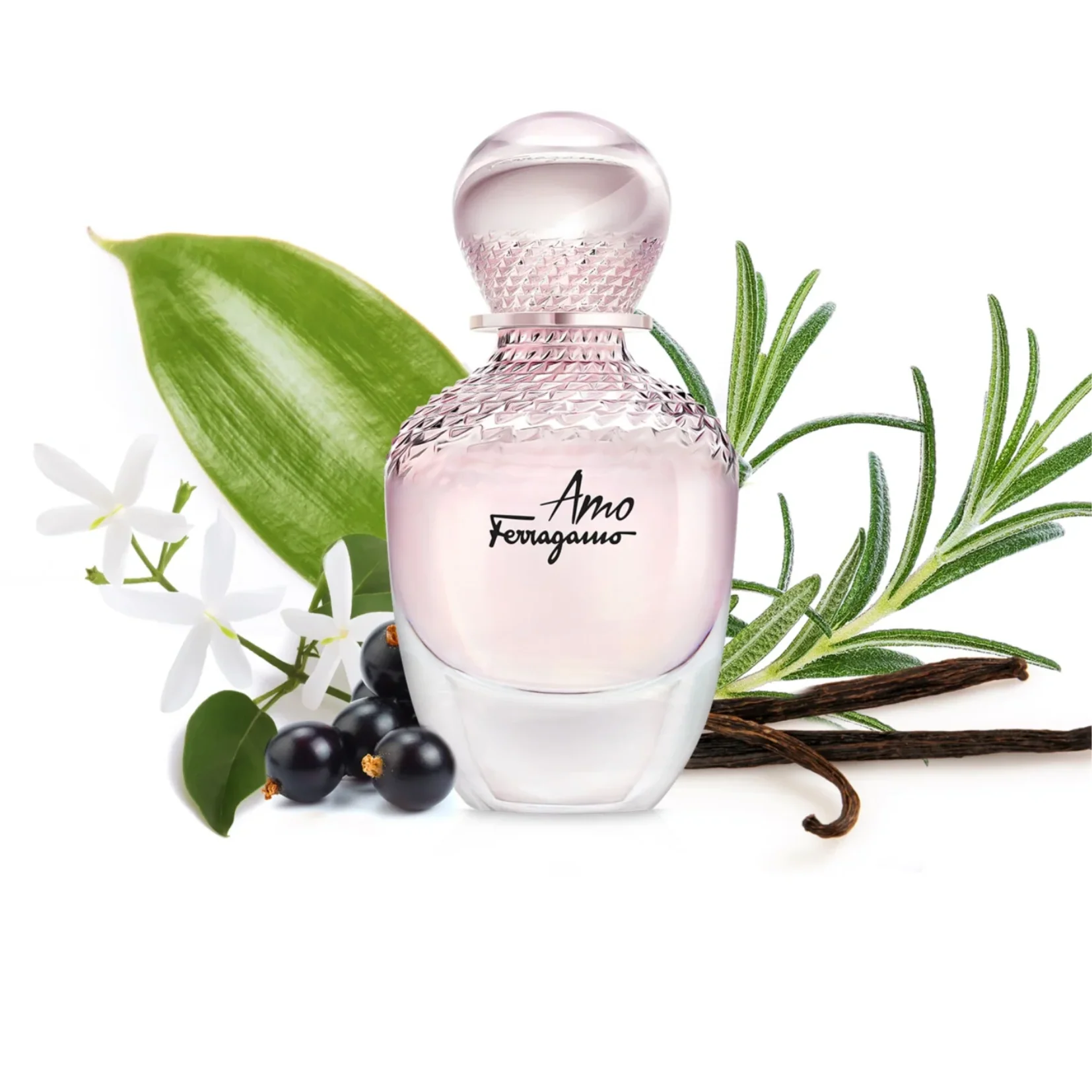 Salvatore Ferragamo Amo Eau de Parfum for Women - Image 2