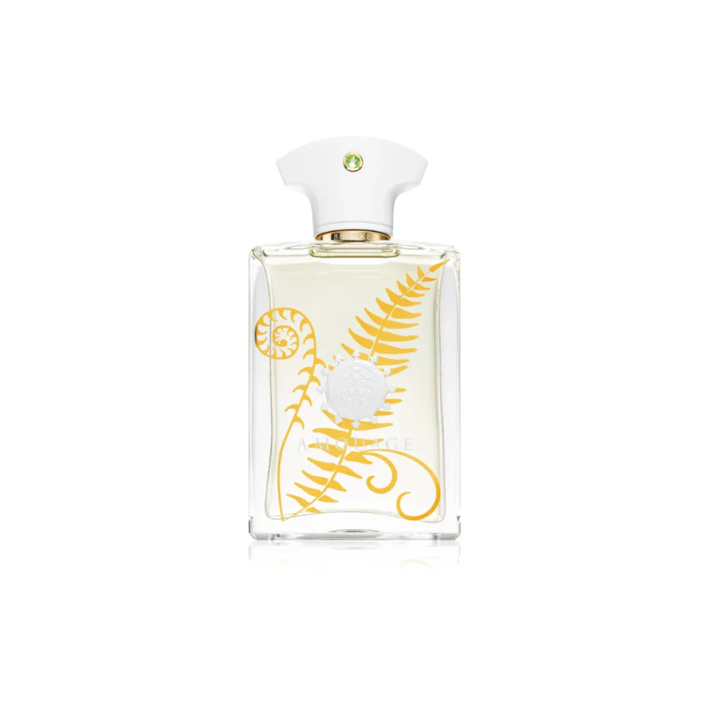 Amouage Bracken Man Eau de Parfum for Men