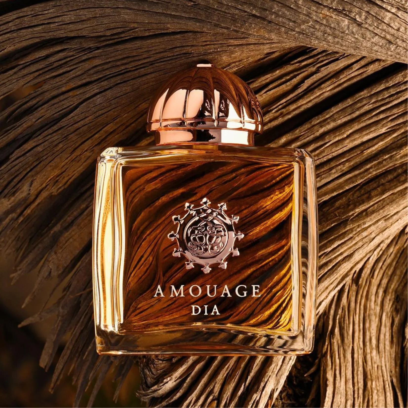Amouage Woman Dia Eau de Parfum for Women