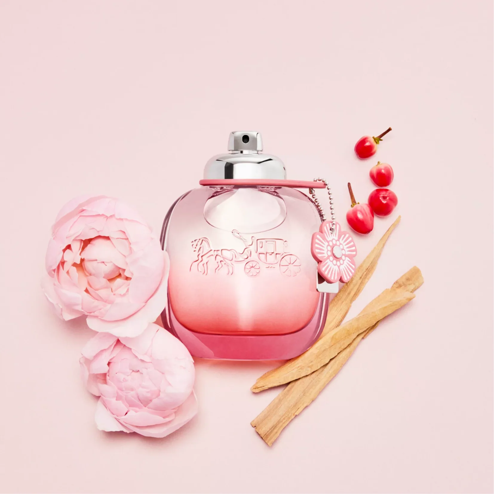 Coach Floral Blush Eau de Parfum for Women - Image 2