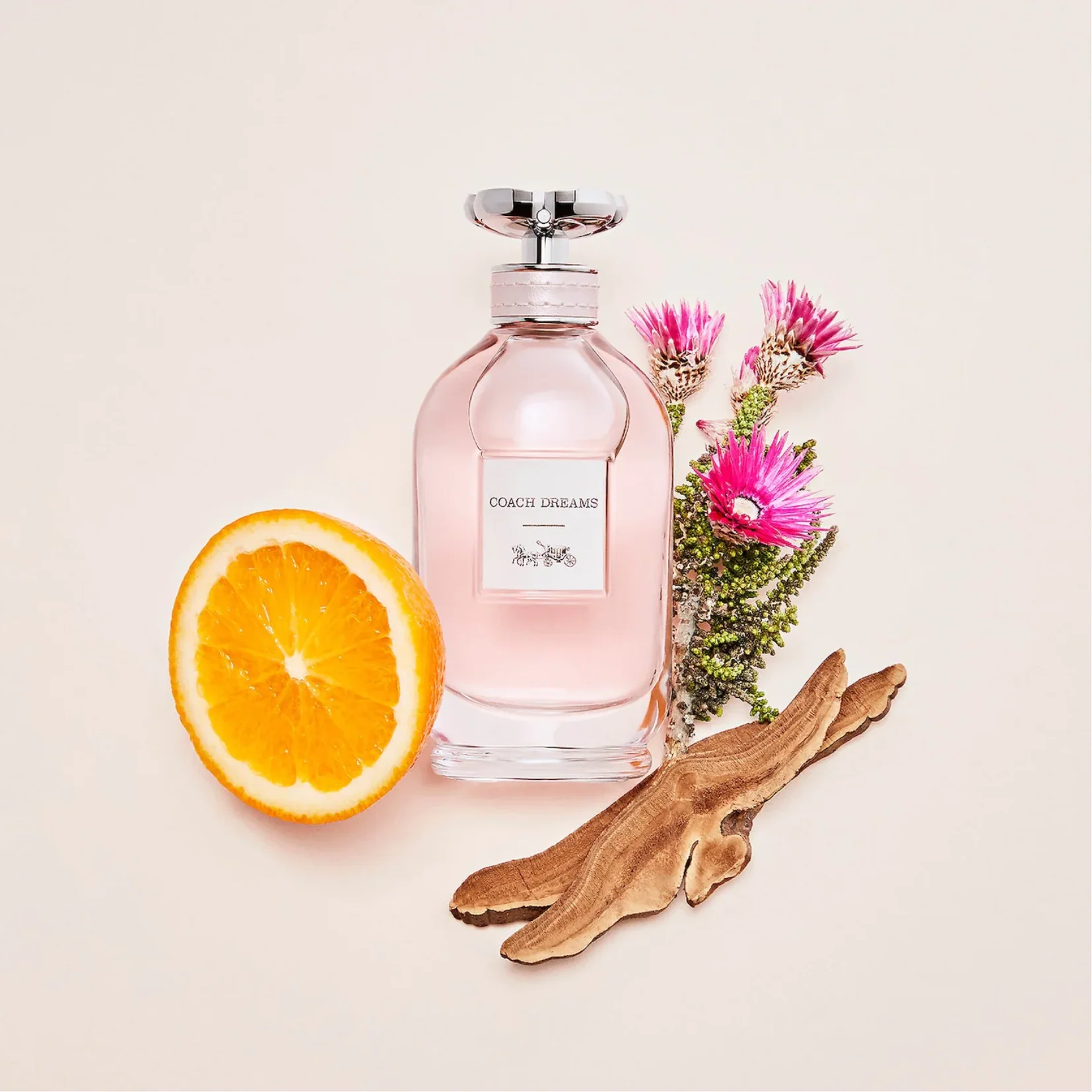 Coach Dreams Eau de Parfum for Women - Image 3