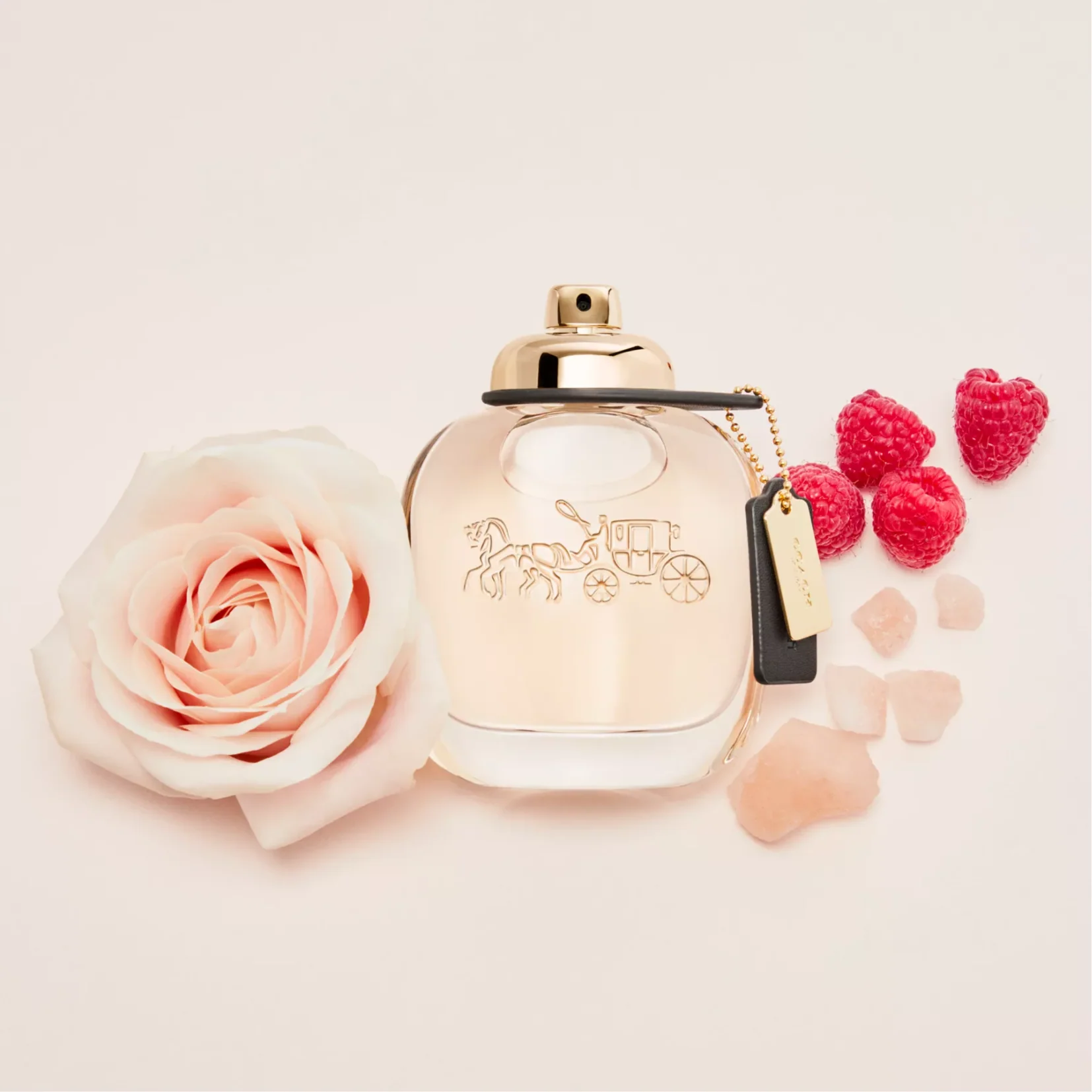 Coach Woman Eau de Parfum for Women - Image 2