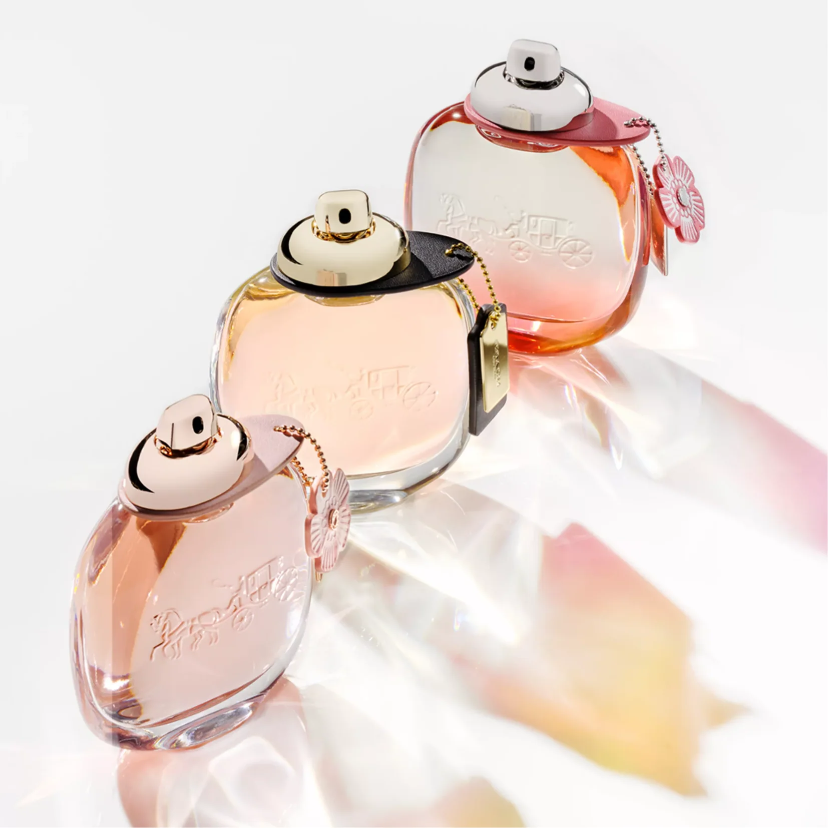 Coach Woman Eau de Parfum for Women - Image 4