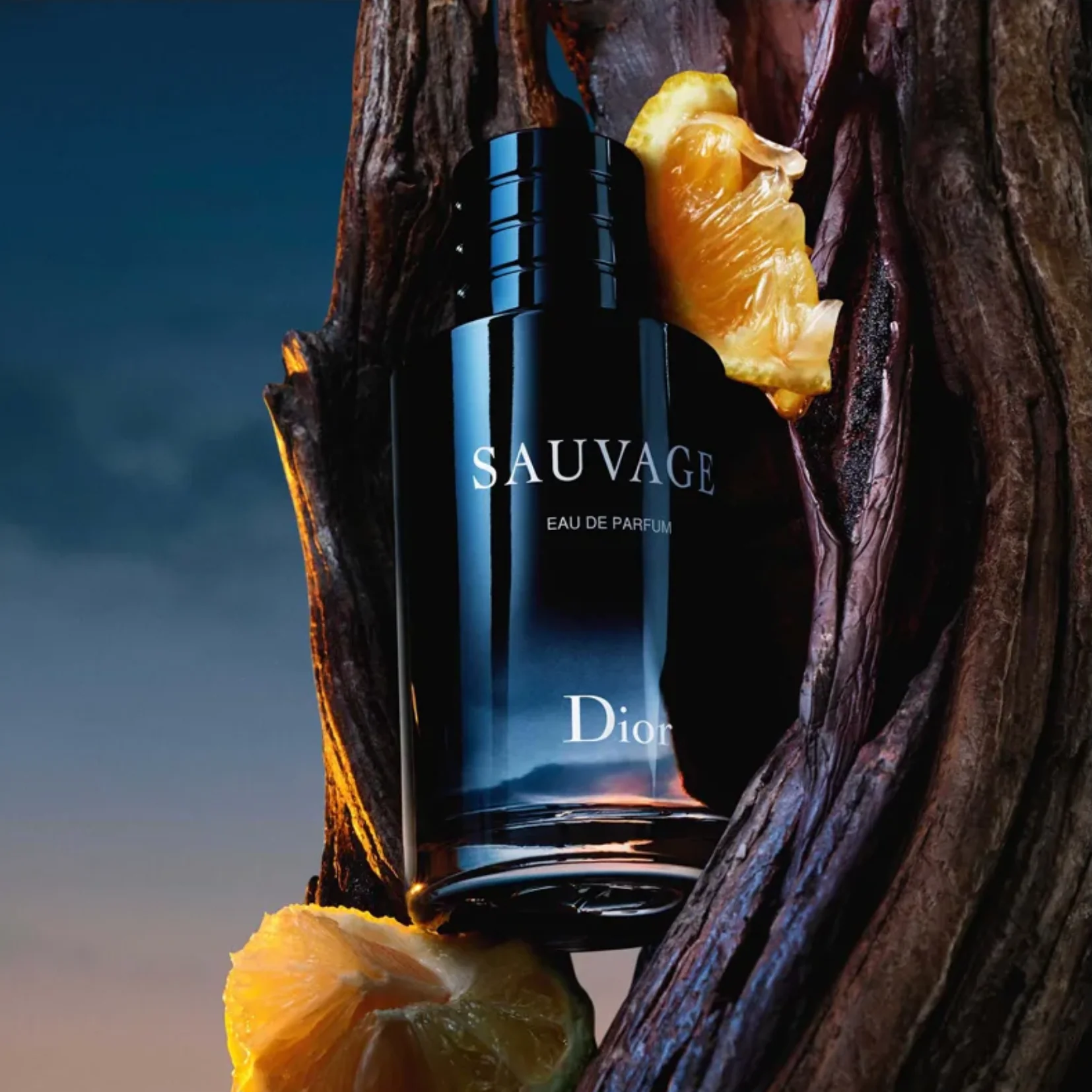 Dior Sauvage Eau de Parfum for Men