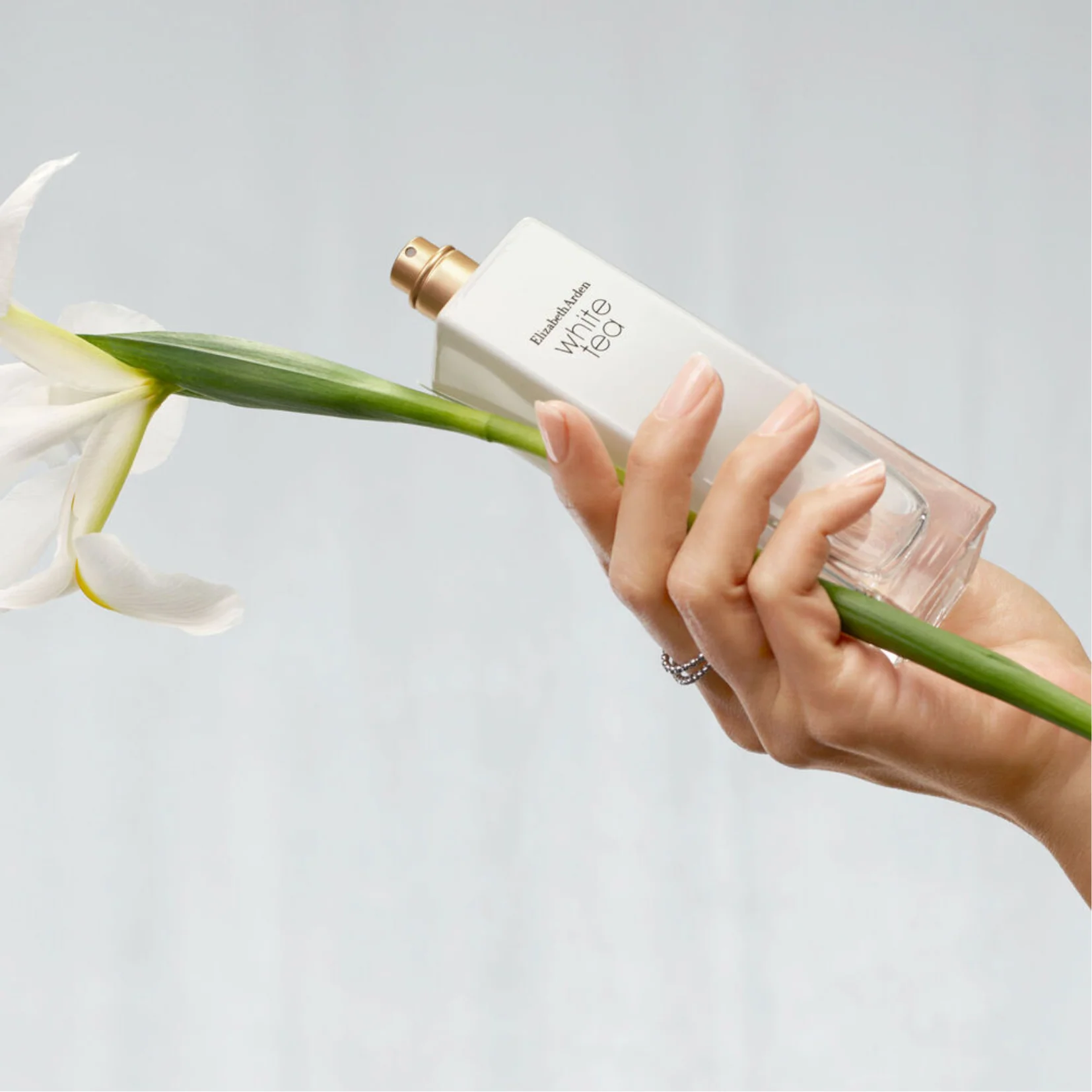 Elizabeth Arden White Tea Eau de Toilette for Women - Image 3