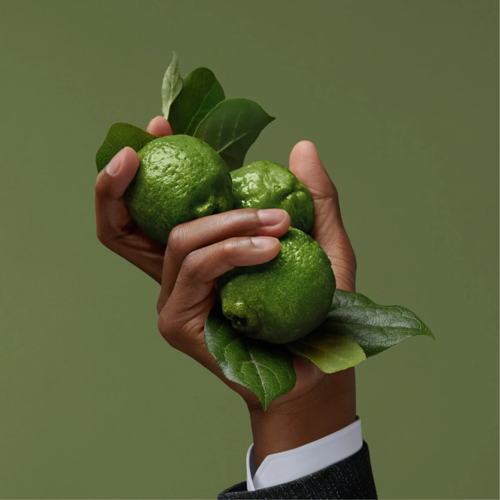 Ermenegildo Zegna Italian Bergamot Eau de Parfum for Men - Image 3