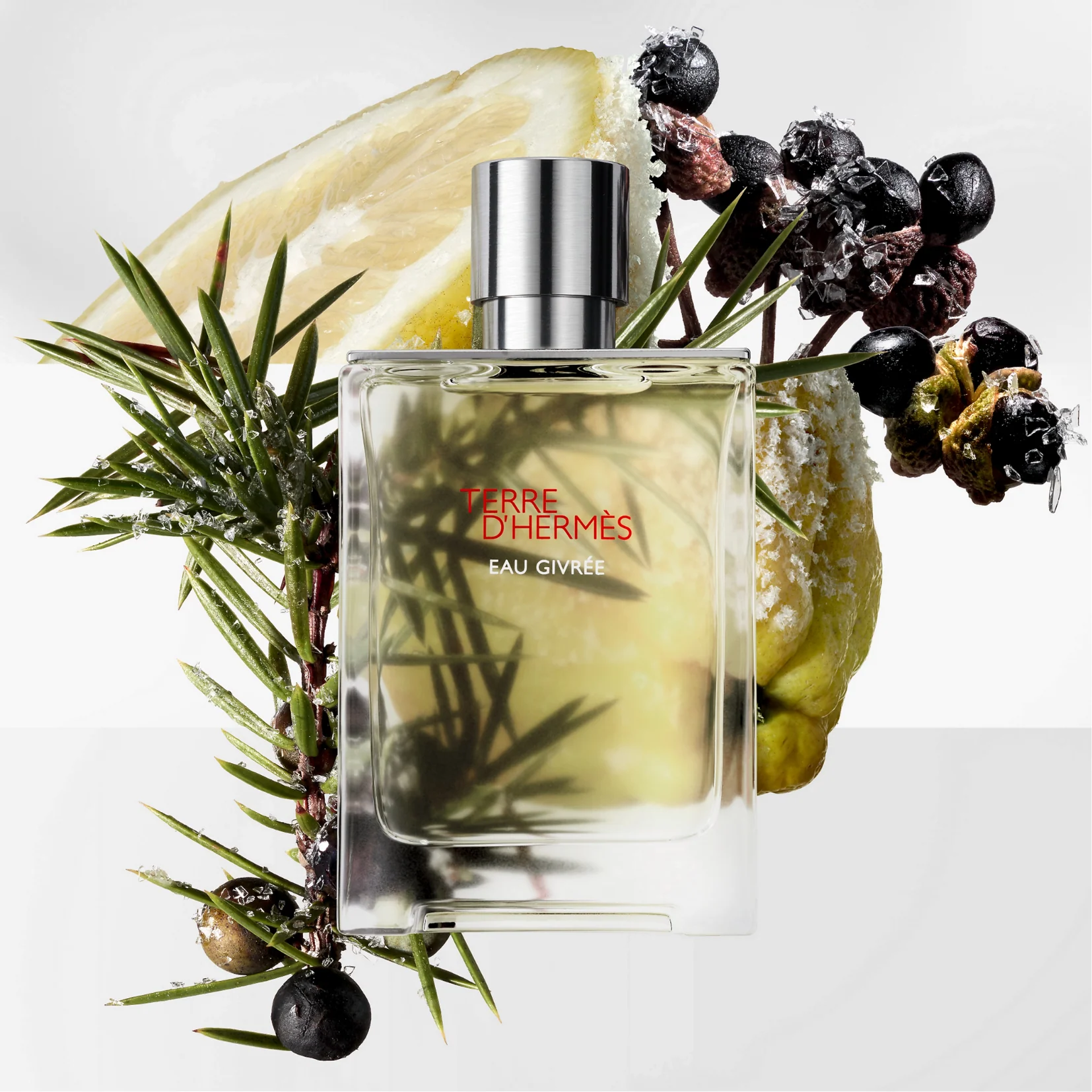 HERMÈS Terre d’Hermès Eau Givrée Eau de Parfum for Men