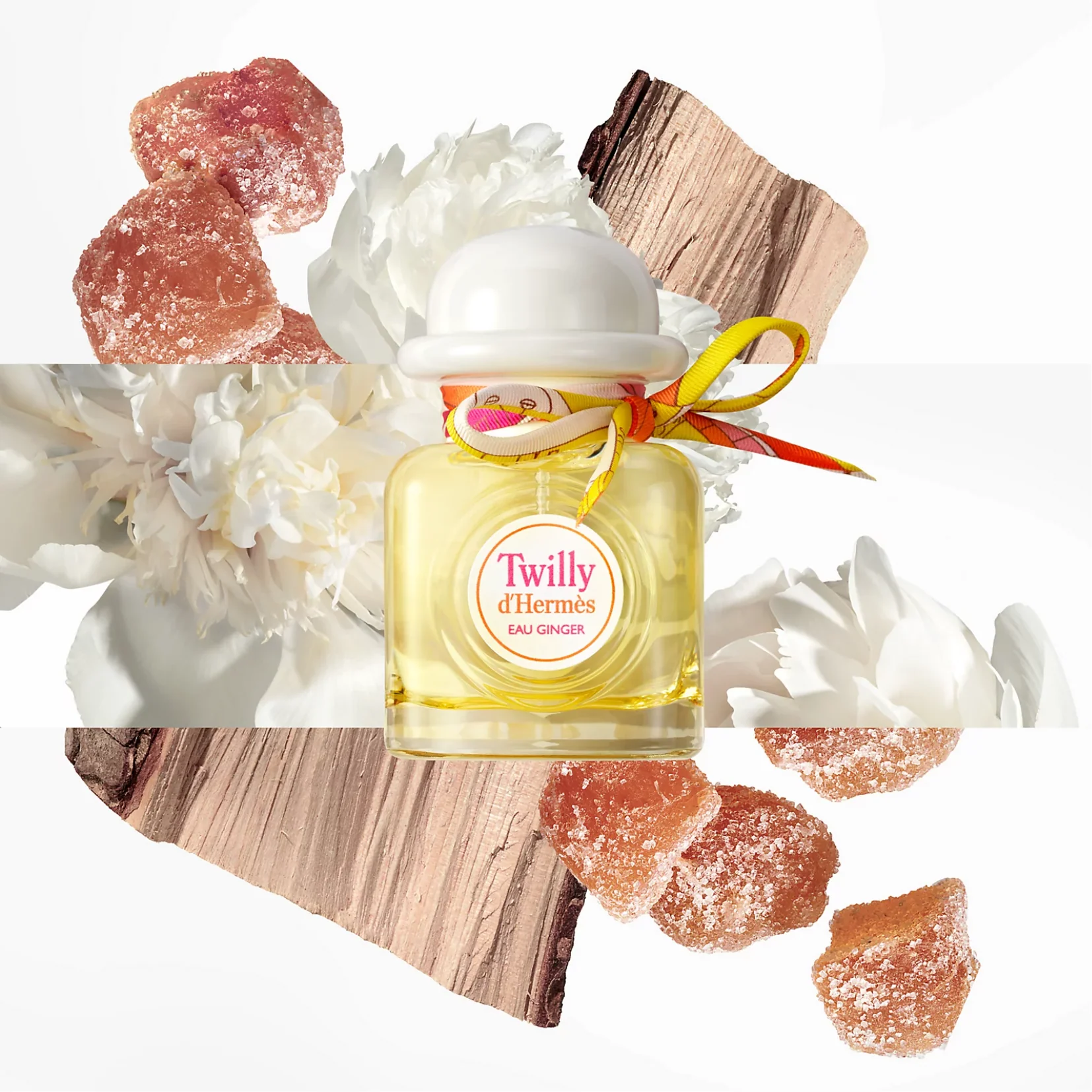HERMÈS Twilly d’Hermès Eau Ginger Eau de Parfum for Women