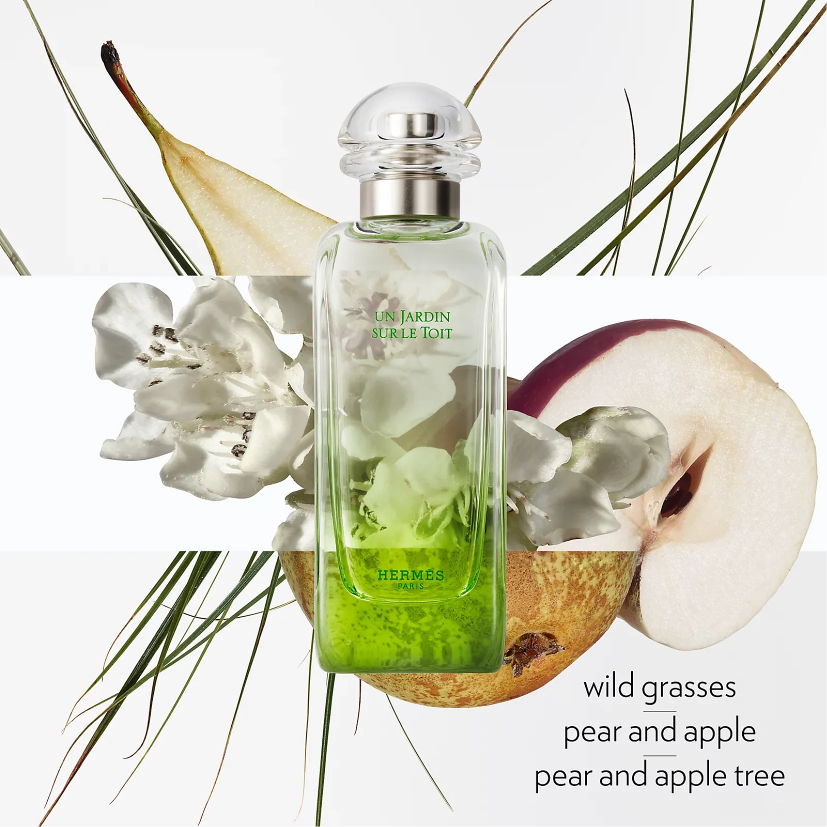 Hermes Jardinen Sur Le Toit Eau de Toilette for Men - Image 3