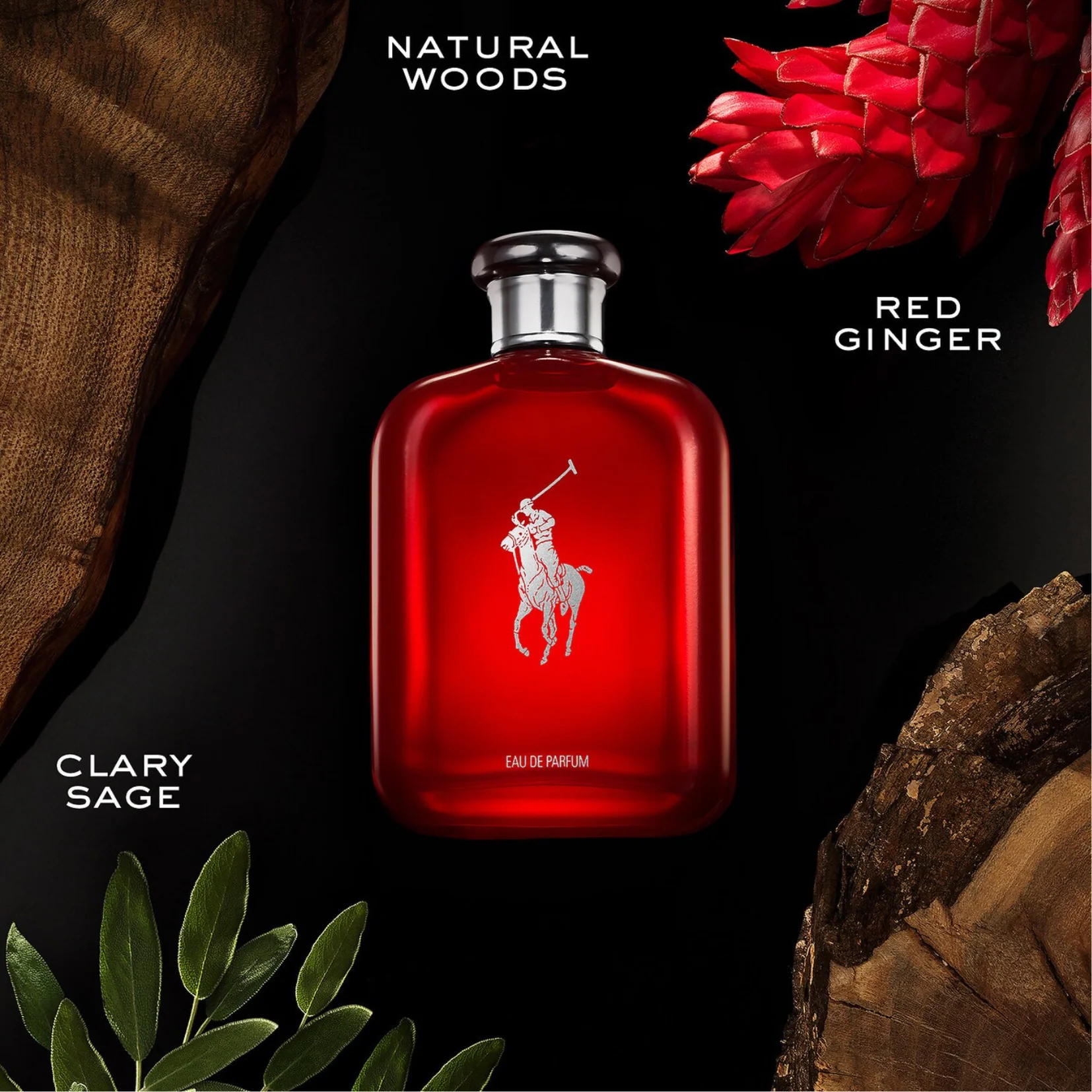 Ralph Lauren Polo Red Eau de Parfum for Men - Image 3