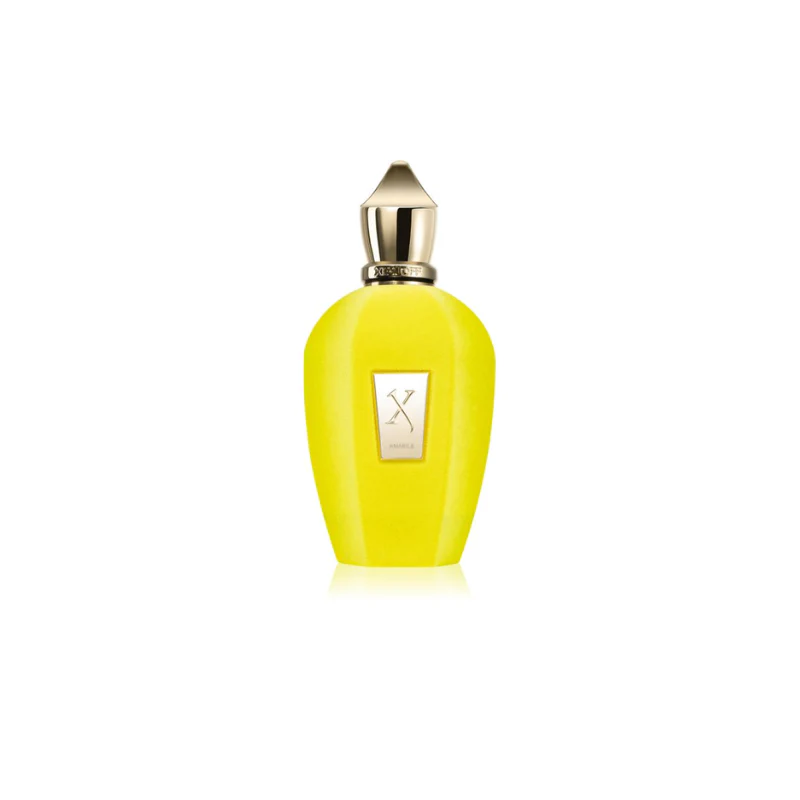 Xerjoff Amabile Eau de Parfum for Men - Image 3